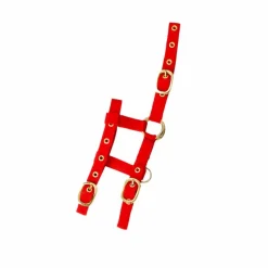 Norton - Licol réglable mini rouge