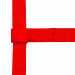 Norton - Licol réglable mini rouge