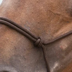 Norton - Licol éthologique doux marron