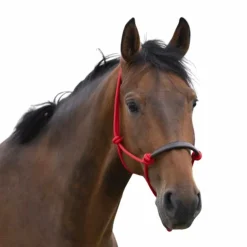 Norton - Licol éthologique corde/ synthétique rouge