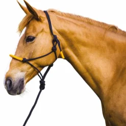 Norton - Licol éthologique et longe Fun colour noir/orange