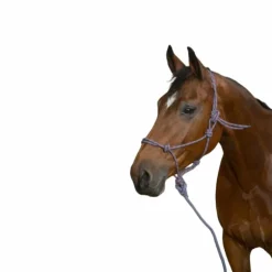 Norton - Licol éthologique longe "eco" gris/rose