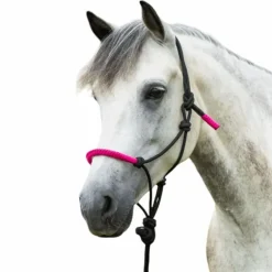 Norton - Licol éthologique et longe Fun colour noir/fuschia