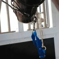 Norton - Longe de transport bleu vif