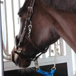 Norton - Longe de transport bleu vif