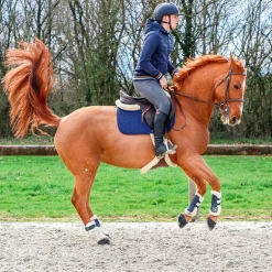 Norton - Protège-boulets mouton XTR marine