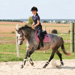 Norton - Protège-boulets mouton XTR marine