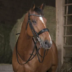 Norton - Rênes de bride 13mm noir poney