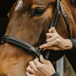 Norton Pro - Bridon Apophyse noir