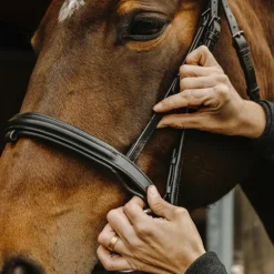 Norton Pro - Bridon Apophyse noir