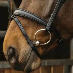 Norton Pro - Bridon Dark noir