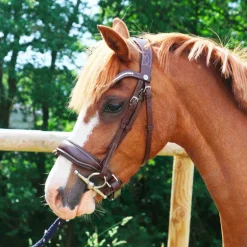 Norton Pro - Bridon Miss havane