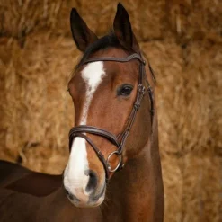 Norton Pro - Bridon Perle havane