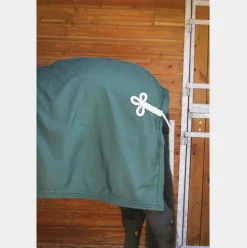 Paddock Sports - Chemise de présentation vert 0g