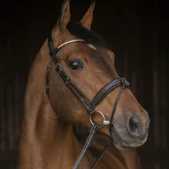 Pénélope - Bridon Daily Strass noir