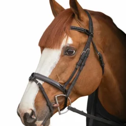 Pénélope - Bridon Oxford noir