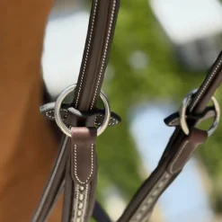 Pénélope - Flèche de martingale Point sellier havane