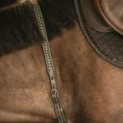 Pénélope - Martin collier noir