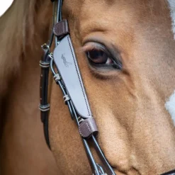 Pénélope - Oeillères Blinkers havane