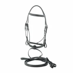 Privilege Equitation - Bridon Dinard combiné avec rênes noir