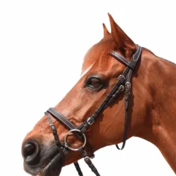 Privilege Equitation - Bridon Grandville combiné avec rênes marron
