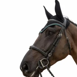 Pro Confort - Bonnet pour chevaux Dynax noir/ jungle green