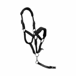 Pro Confort - Ensemble licol ergonomique et longe Dorai en mesh noir