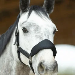 Pro Confort - Ensemble licol ergonomique et longe Dorai en mesh noir