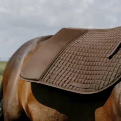 Randol's - Tapis long de randonnée Confort brun