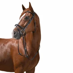 Riding World - Bridon Muserolle Combinée noir avec rênes