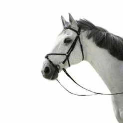 Riding World - Bridon Muserolle croisée avec rênes