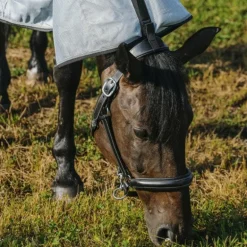 Riding World - Chemise anti-mouches mesh Combo Belly grise