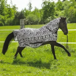 Riding World - Chemise filet Combo zèbre