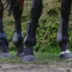 Riding World - Guêtres protège-tendons marron x2
