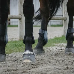 Riding World - Guêtres protège-tendons noir x2