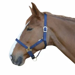 Riding World - Licol en nylon marine