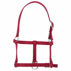 Riding World - Licol foal bordeaux