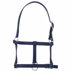 Riding World - Licol foal marine