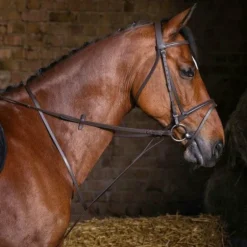 Riding World - Martingale à anneaux havane