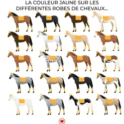 Tacante - Tapis de dressage Excel-Anse jaune d'or