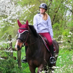 TdeT - Bridon et rênes Lautrec tabac/noir