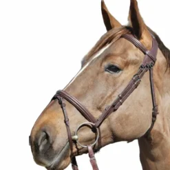 TdeT - Bridon et rênes Raphael havane foncé