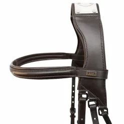 TdeT - Bridon Raphael noir