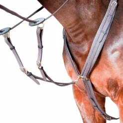 TdeT - Collier de chasse Biotack® marron foncé