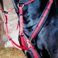 TdeT - Collier de chasse Biotack® rouge