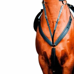 TdeT - Collier de chasse Biotack® noir