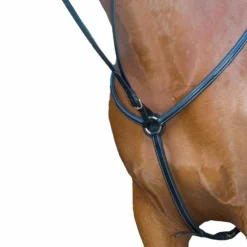 TdeT - Collier de chasse doublé noir