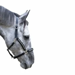 TdeT - Licol cuir clincher noir blanc