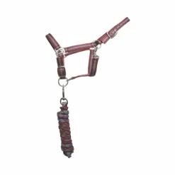 TdeT - Licol doublé avec longe Américaine bordeaux/ gris