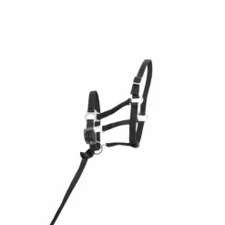 TdeT - Licol foal synthétique noir